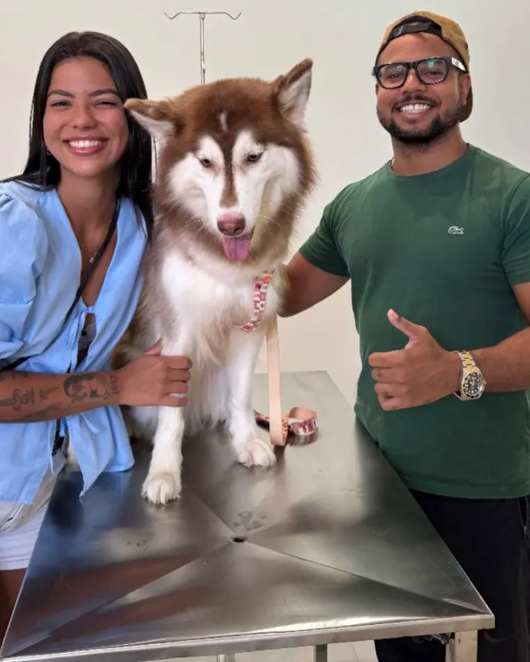 Tutores e a equipe da Clínica Veterinária Palmeiras com um husky na mesa de atendimento