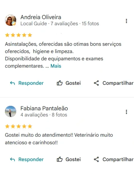 Avaliação real de tutor da Clínica Veterinária Palmeiras no Google