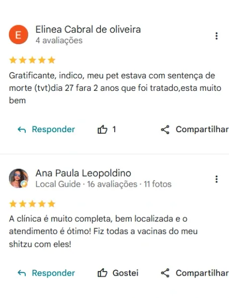 Avaliação real de tutor da Clínica Veterinária Palmeiras no Google