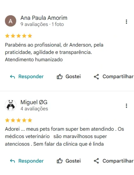 Avaliação real de tutor da Clínica Veterinária Palmeiras no Google