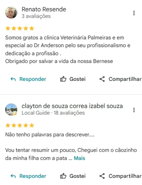 Avaliação real de tutor da Clínica Veterinária Palmeiras no Google