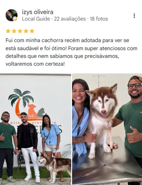 Avaliação real de tutor da Clínica Veterinária Palmeiras no Google